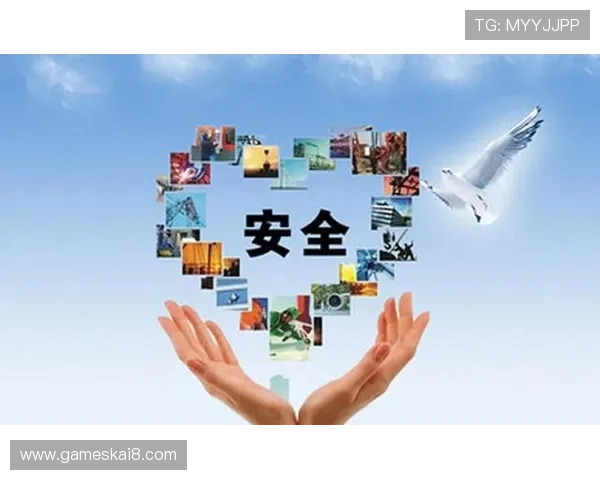 凯发EVO厅的技术支持与安全保障体系全面分析